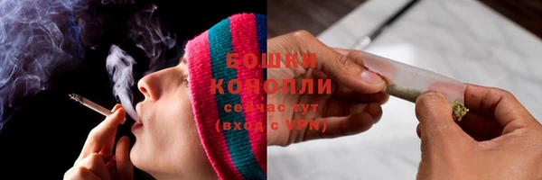 соль ск Богородск