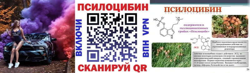 магазин Нижний Тагил Галлюциногенные грибы прущие грибы